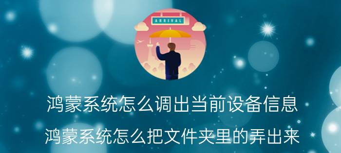 鸿蒙系统怎么调出当前设备信息 鸿蒙系统怎么把文件夹里的弄出来？